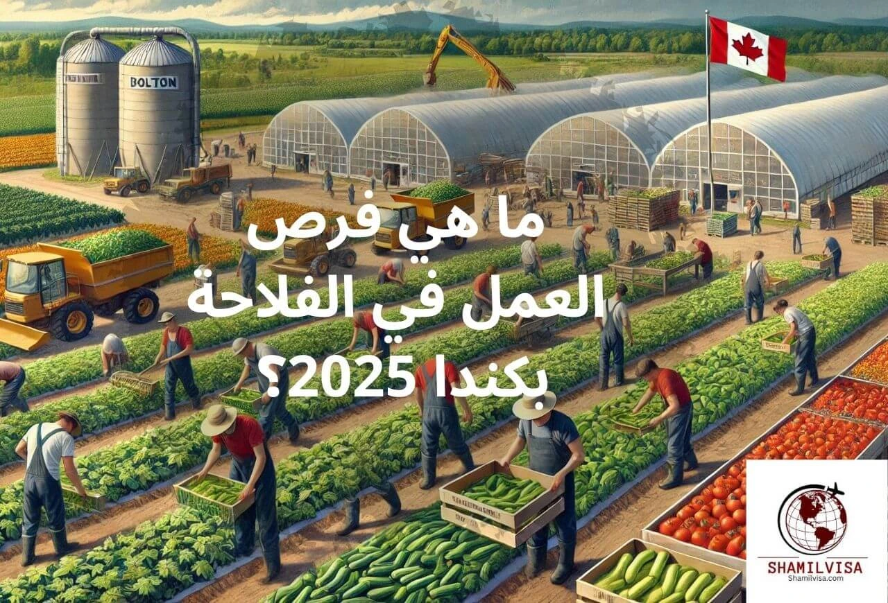 فرص العمل في الفلاحة بكندا لعام 2025 تتنوع في القطاع الزراعي، بدءًا من مزارع الفواكه والخضروات إلى إدارة المزارع الحيوانية. تعرف على خمس وظائف متاحة والمهارات المطلوبة للانضمام لهذا القطاع المزدهر.